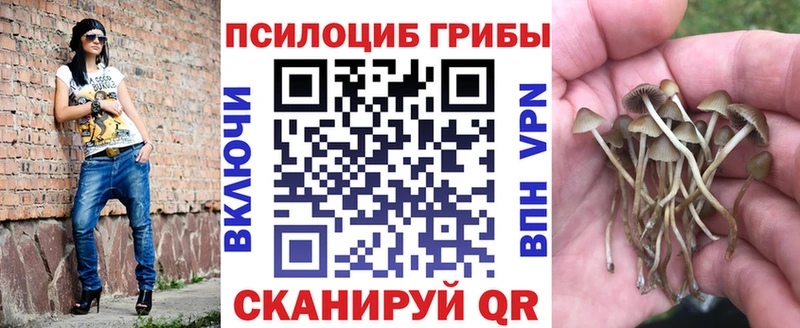Псилоцибиновые грибы Magic Shrooms  что такое   Щучье 
