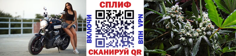 МАРИХУАНА ГИДРОПОН где можно купить сайты даркнета состав Щучье